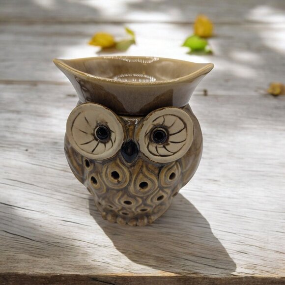 Ceramic Owl Electric Wax Warmer Oil lamp W Lavender & Sage wax Cubes - Picture 1 of 11